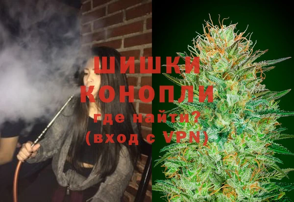 дмт Верея