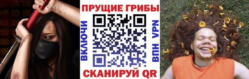 blacksprut ONION Ейск Псилоцибиновые грибы GOLDEN TEACHER